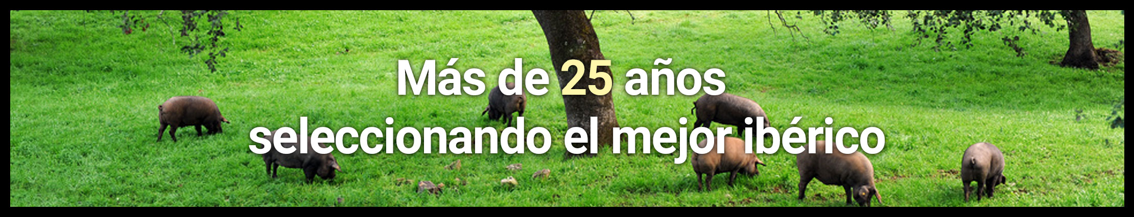 Tienda online de jamones ibéricos desde el año 2000